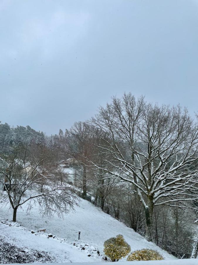Des Brimbelles La Neuveville-Devant-Lepanges